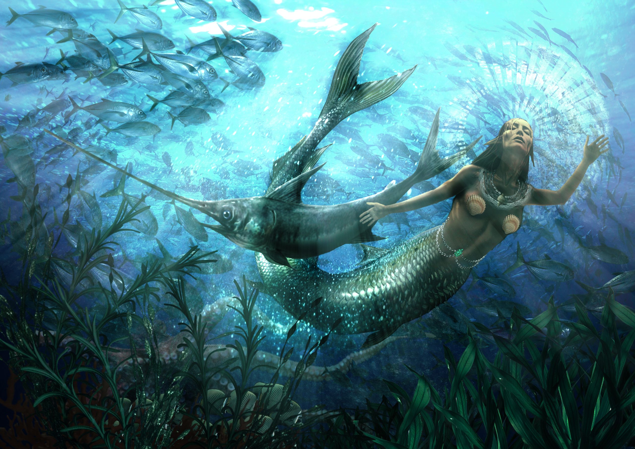 Mermaid Mermaid