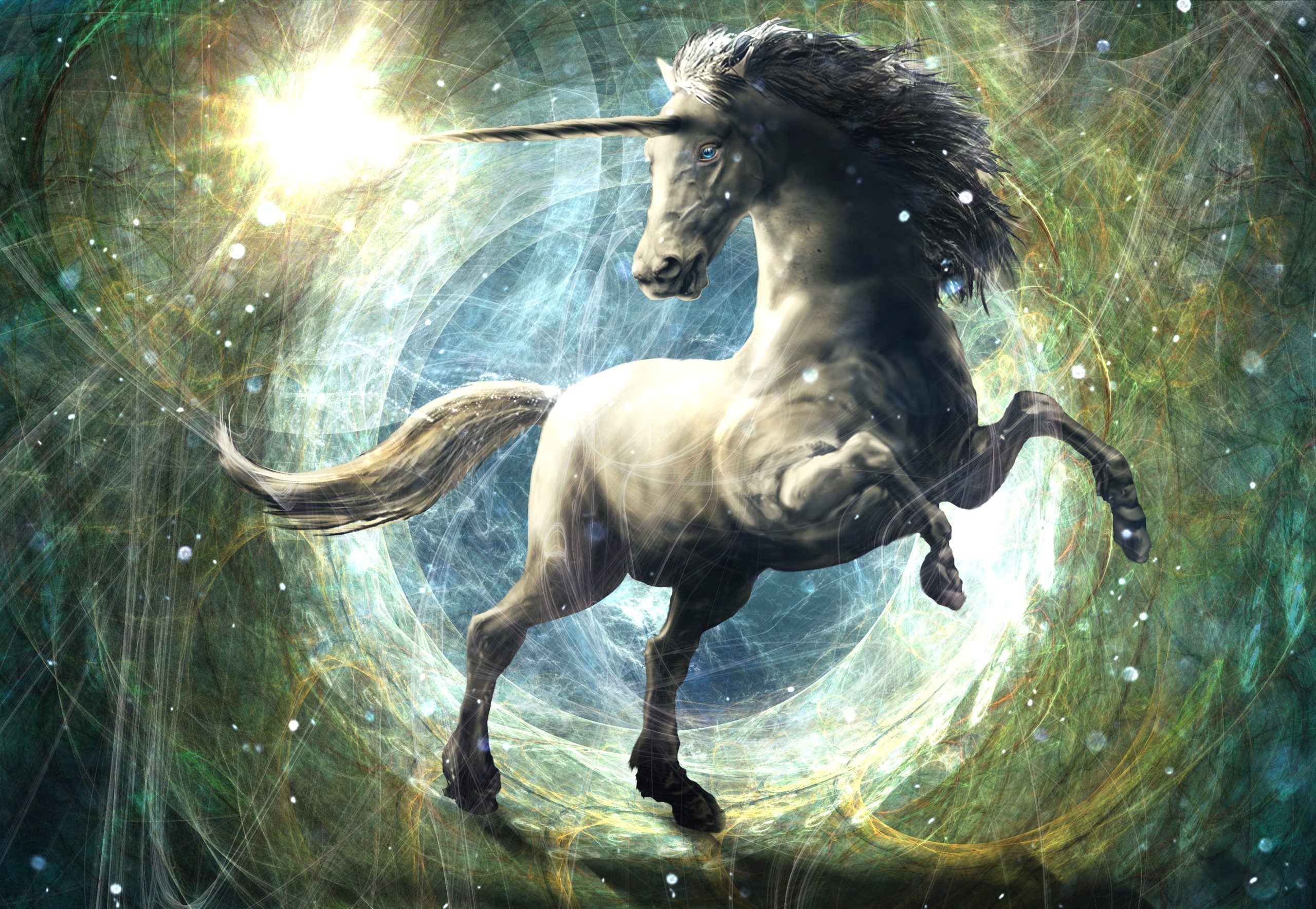 Unicorn Unicorn