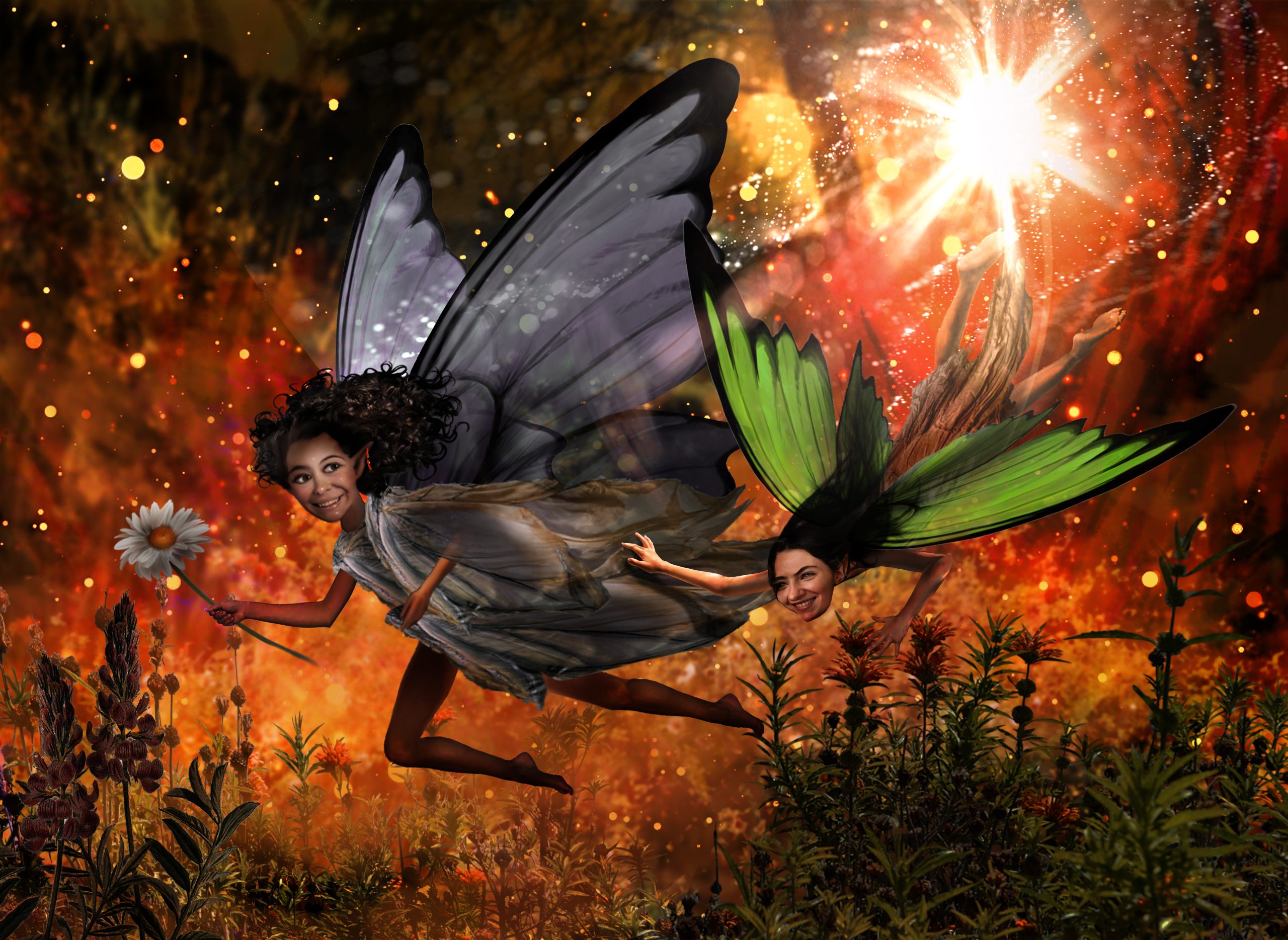 fairies fairies